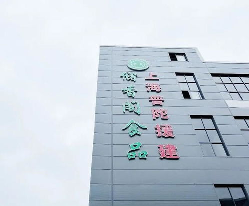 普陀區(qū) 打造產(chǎn)業(yè)新高地 跑出振興“加速度”